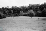 River Ure, Aysgarth